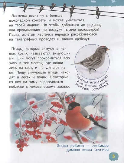 Птицы - фото 4