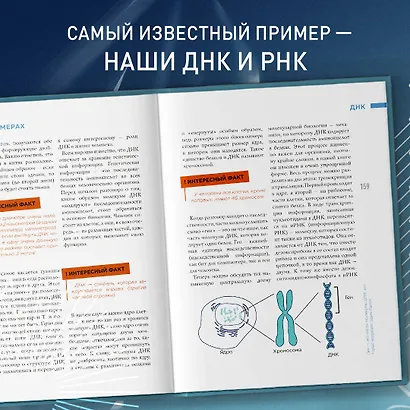 Всё о полимерах. Энциклопедия - фото 8