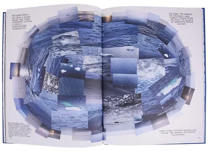 А - это Антарктида - фото 4