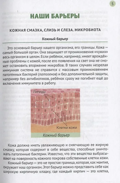 Иммунитет и наше здоровье. Почему мы иногда болеем, что помогает нам не заболевать и быстрее выздоравливать - фото 5
