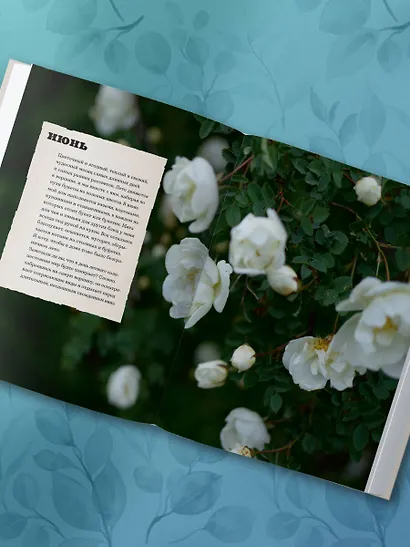 Счастье творчества. Книга о романтике загородной жизни, рукодельных вечерах и единении с природой - фото 8