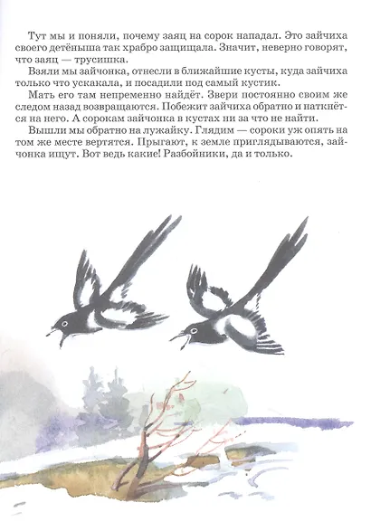Лесной голосок - фото 3
