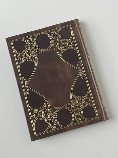 Рыбалка в наших реках и озёрах. Иллюстрированное коллекционное издание в изящном переплёте ручной работы, украшенном тремя видами тиснения - фото 12