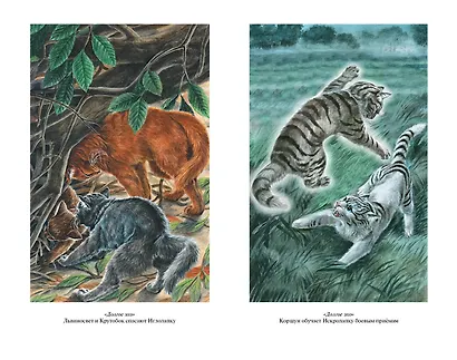 Четвертый оруженосец. Долгое эхо - фото 4