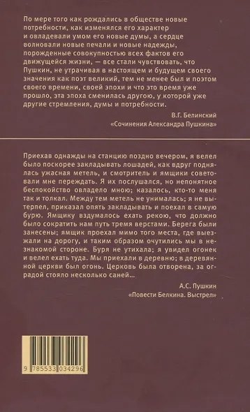 Повести Белкина. Дубровский - фото 3