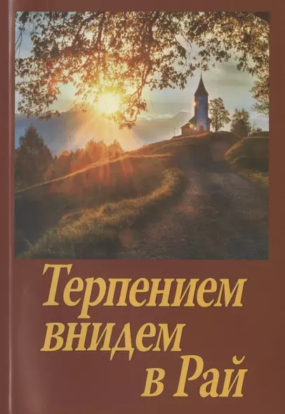 Терпением внидем в Рай! Об очищении души болезнями и скорбями - фото 1