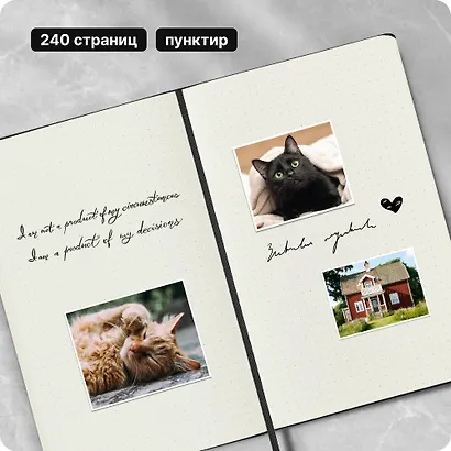 Книга для записей А5, 120 листов в точку "Classic Large", черная, жесткая обложка, резинка, Moleskine - фото 11