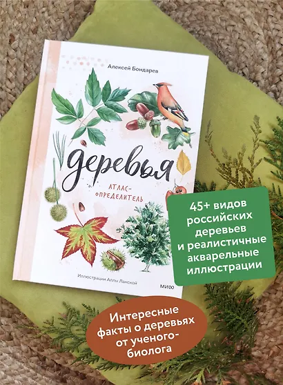 Деревья. Атлас-определитель - фото 5
