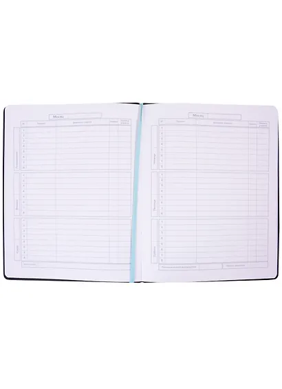 Дневник школьный Феникс+, "Лунные коты" - фото 3