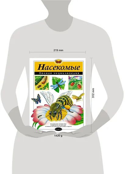 Насекомые. Полная энциклопедия - фото 4