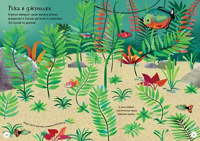 Океанариум - фото 9