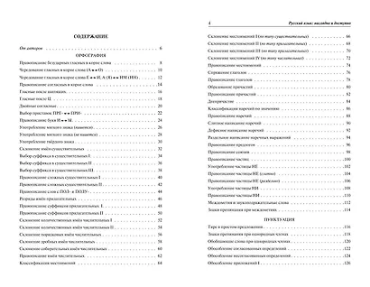 Русский язык: наглядно и доступно - фото 4