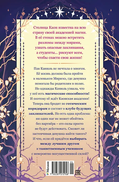 Маги Каона. Академия между мирами - фото 2