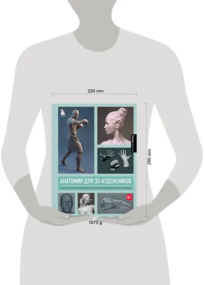 Анатомия для 3D-художников. Курс для разработчиков персонажей компьютерной графики - фото 4