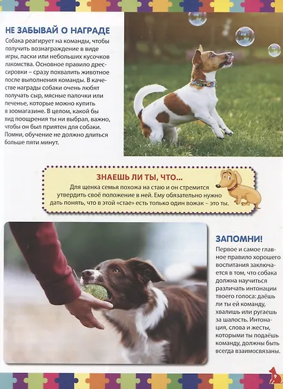 Моя первая книга о собаках и щенках. Детская энциклопедия - фото 4