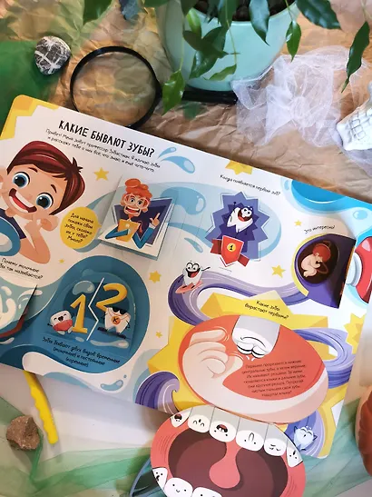 Всё о зубах. Открывай и изучай! - фото 8