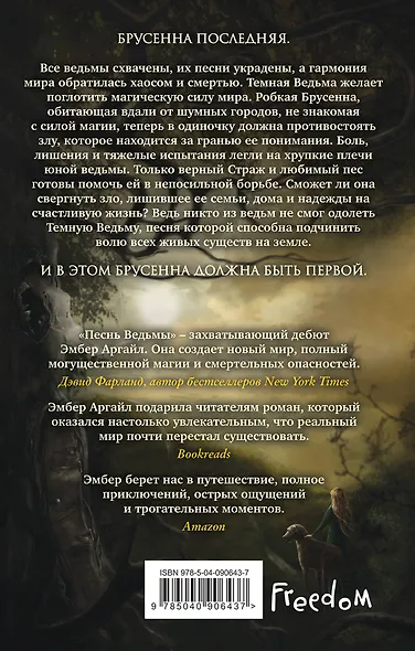 Песнь Ведьмы (#1) - фото 2