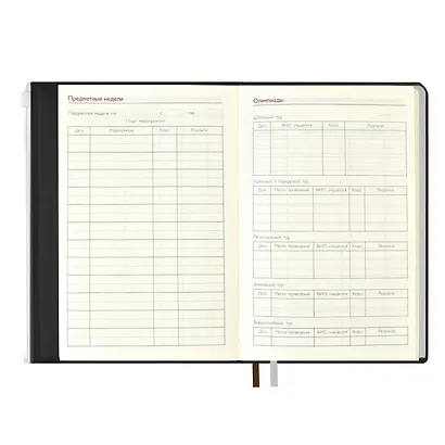 Ежегодник учителя А6+ 256л 125*178мм "ПВХ" бронзовый, мягкий переплет, шелкогр, вставной тонир.блок, ляссе - фото 7