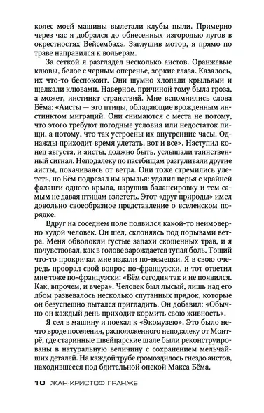 Полет аистов - фото 10