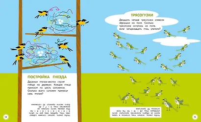 Туканы, синицы и другие птицы. Весёлые задачки - фото 5