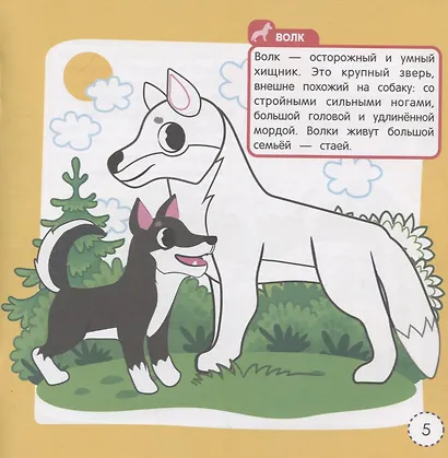 Животные леса. Книжка-раскраска - фото 2