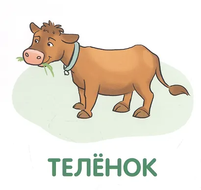 Родители и малыши. Карточки в лапочке. 33 карточки с заданием на обороте - фото 5