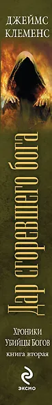 Хроники убийцы богов. Книга 2: Дар сгоревшего бога - фото 4