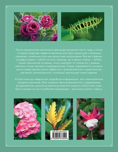 Лучшие комнатные растения: иллюстрированная энциклопедия - фото 2