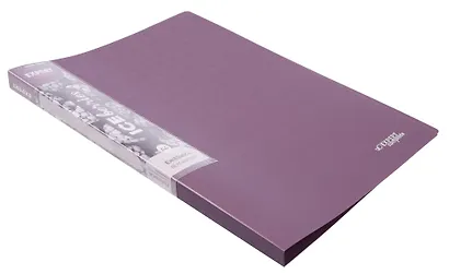 Папка с бок.прижимом А4 "Trend ICEberries", пластик 20мм, ассорти, - фото 15