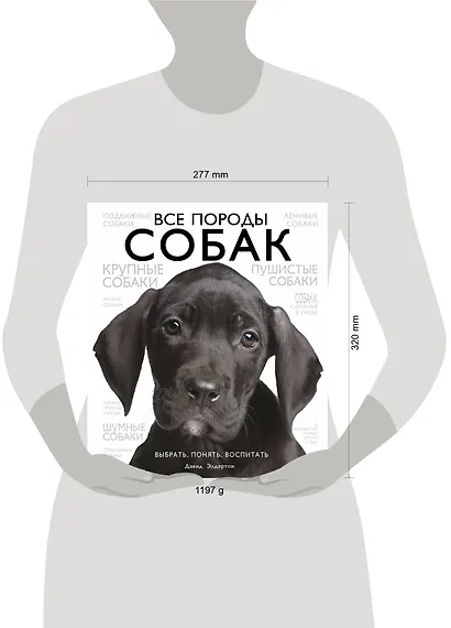 Все породы собак - фото 4