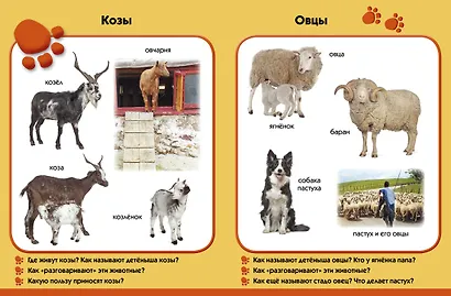 У бабушки в деревне. Развиваем малыша (2-3 года) - фото 4