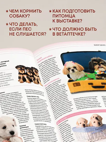 Собаки. Подарочная иллюстрированная энциклопедия (новое оформление) - фото 5