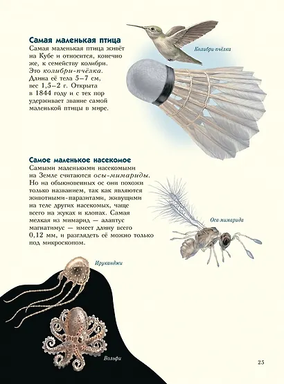 Самые-самые. Животные рекордсмены - фото 4