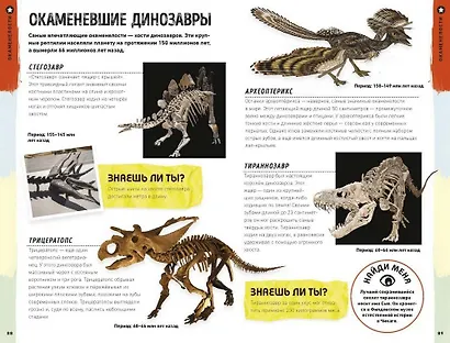 Что за камень? Гид по горным породам, минералам и окаменелостям - фото 5