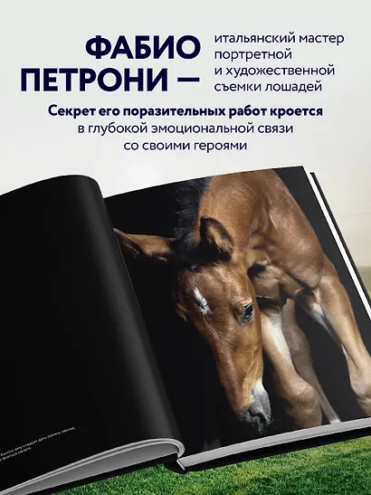 Лошади. Портреты, вдохновленные Рембрандтом. Эксклюзивный фотоальбом - фото 10