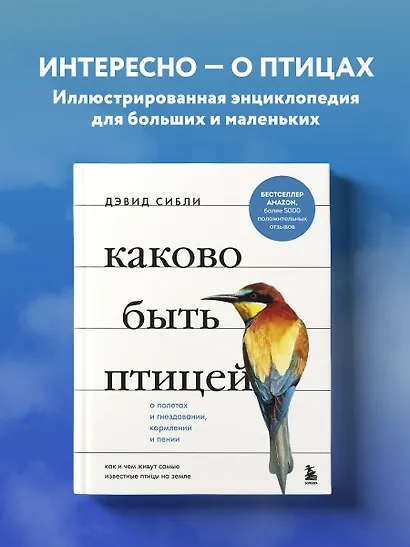 Каково быть птицей: о полетах и гнездовании, кормлении и пении. Как и чем живут самые известные птицы на земле - фото 4