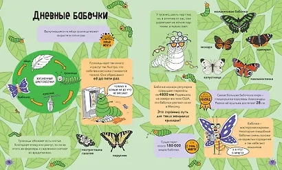Насекомые и не только. От шмелей до навозных жуков: все ползуче-летучие факты, рекорды и достижения - фото 5