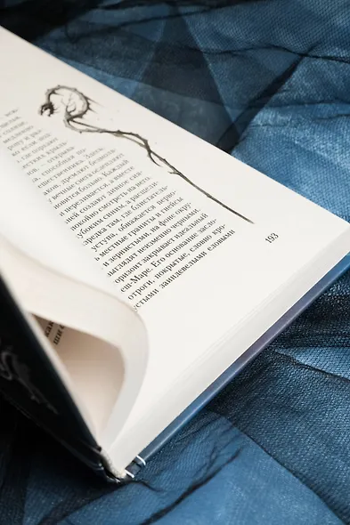 Залесье - фото 13