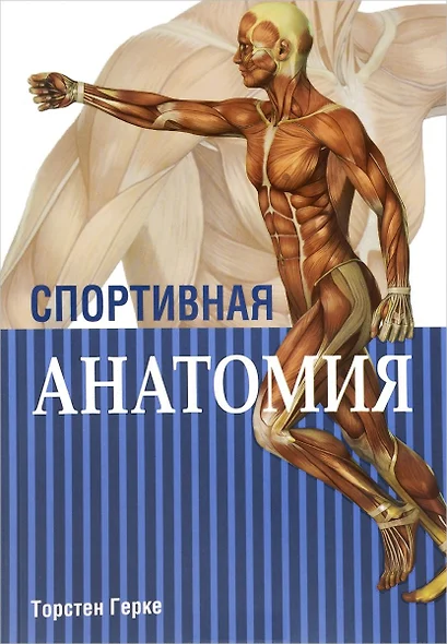 Спортивная анатомия - фото 1