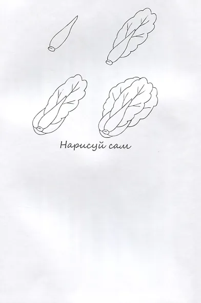 Фрукты НС-5-3 - фото 3