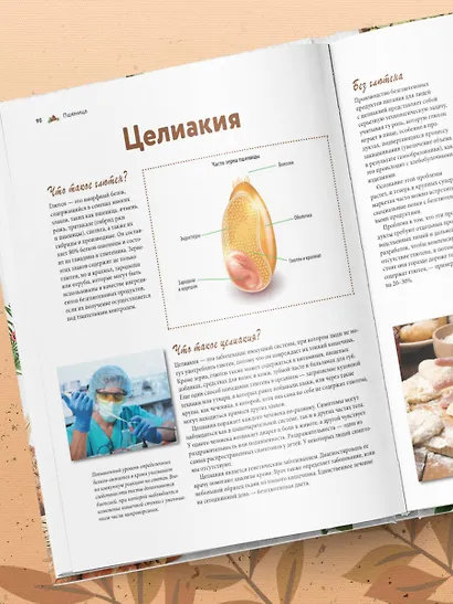 Семена и зерна. Иллюстрированный атлас. Удивительные факты о сельскохозяйственных культурах и их влияние на развитие человечества - фото 10