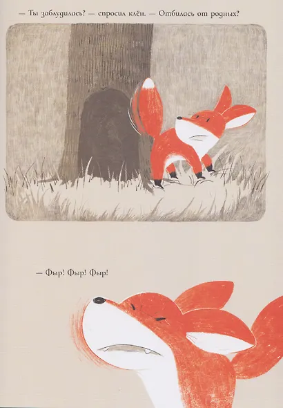 Лисичка и клён - фото 3