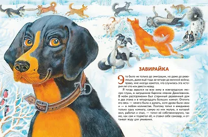Усы, перья и хвосты. Рассказы русских писателей о животных (ил. М. Белоусовой) - фото 7