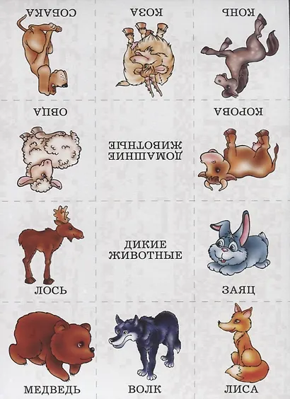 Назови одним словом. Для занятий в группах детских садов и индивидуально - фото 3