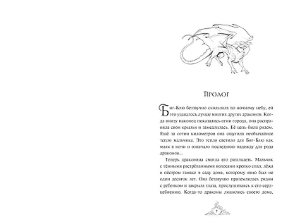 Смарагур. Книга 1. Остров драконов - фото 13