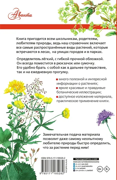 Растения России - фото 2