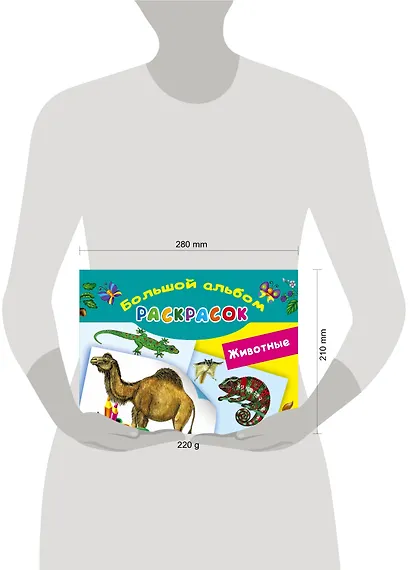 Животные - фото 3