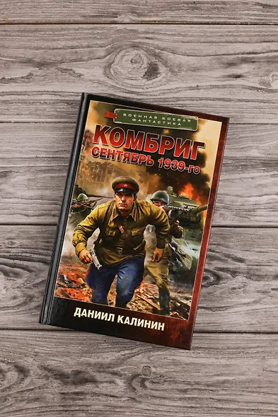 Комбриг. Сентябрь 1939-го - фото 5
