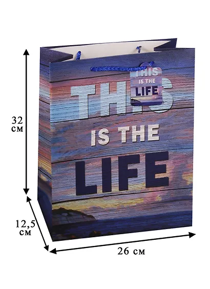 Пакет подарочный бумажный А4 "This is the life", нейтральный - фото 3
