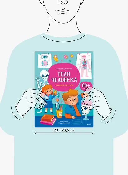 Тело человека. Открывай и изучай! - фото 14